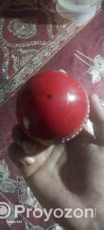 Cricket Ball (Used)