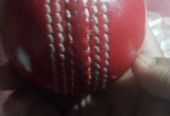 Cricket Ball (Used)