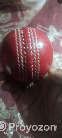 Cricket Ball (Used)