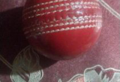 Cricket Ball (Used)