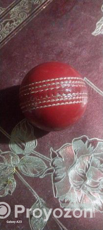 Cricket Ball (Used)