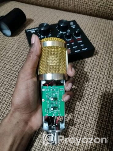 BM 800 condenser microphone