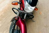 Platina 100 cc Bike