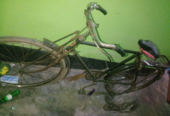 Bicycle for Sale