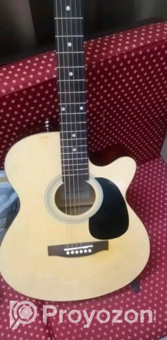 Joy semi-acoustic guitar