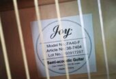 Joy semi-acoustic guitar