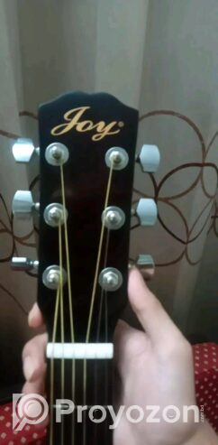 Joy semi-acoustic guitar