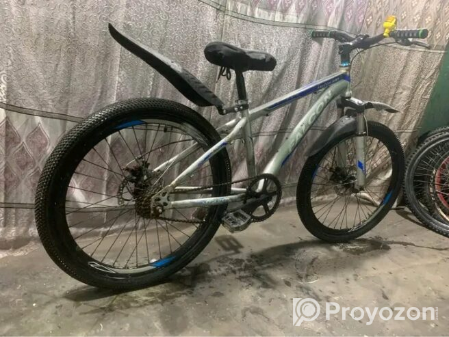 Falcon cycle 24 size