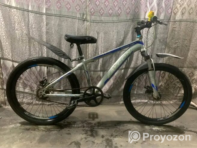 Falcon cycle 24 size