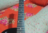 Acoustic Guitar Sell Post