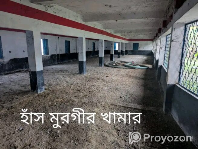 তিনতলা বিল্ডিং, গরুর খামার ও হাস মুরগির খামার